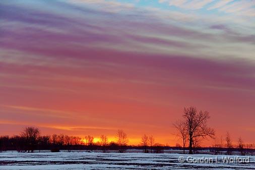 Sunrise Snowscape_14806.jpg - Photographed at Ottawa, Ontario - the capital of Canada.